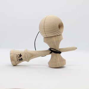 REShape3 Ash Ozora